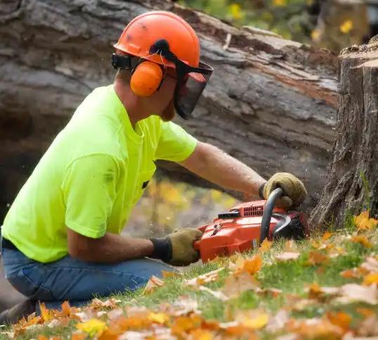 tree services New Hampshire